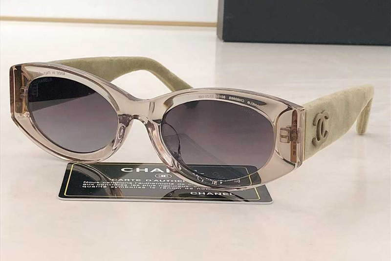 CH6066 Sunglasses Transparent Gradient Gray