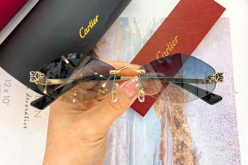 glasses