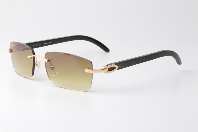 CT 3524012 Black Buffalo Sunglasses Gold Brown
