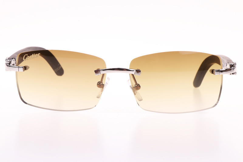 glasses