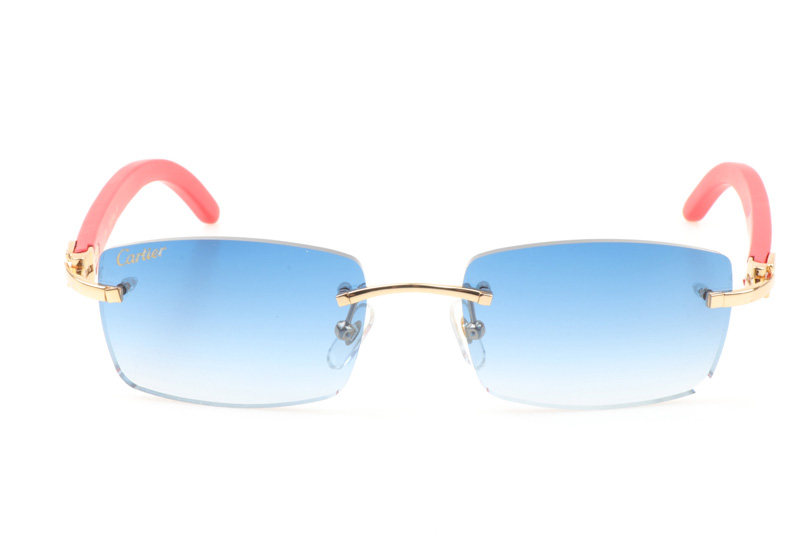 glasses