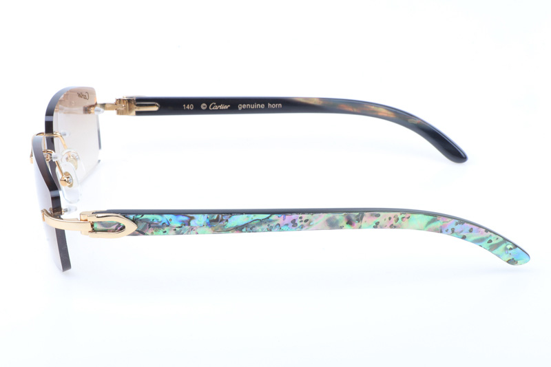 glasses