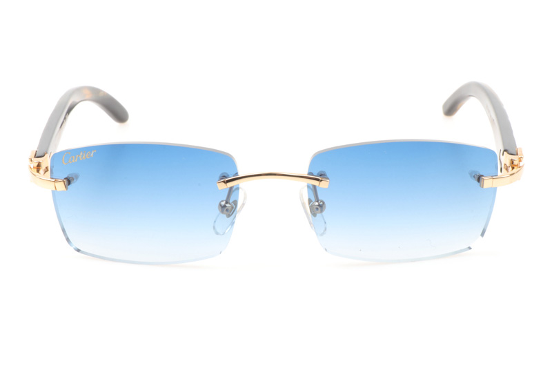 glasses