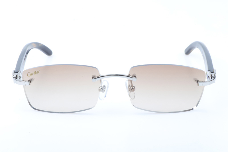 glasses