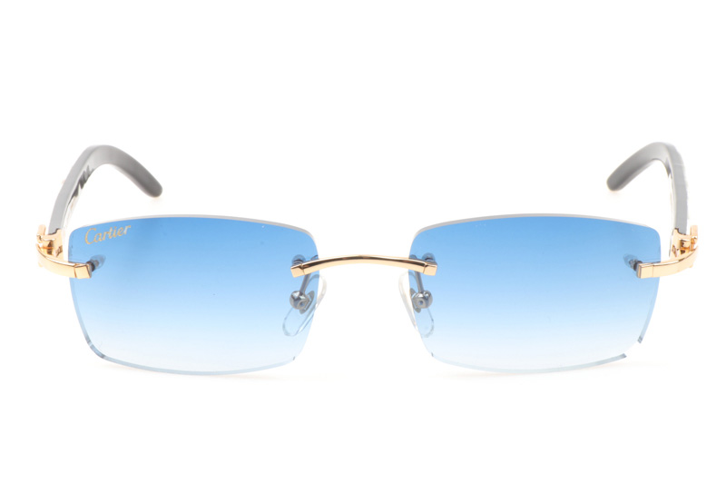 glasses