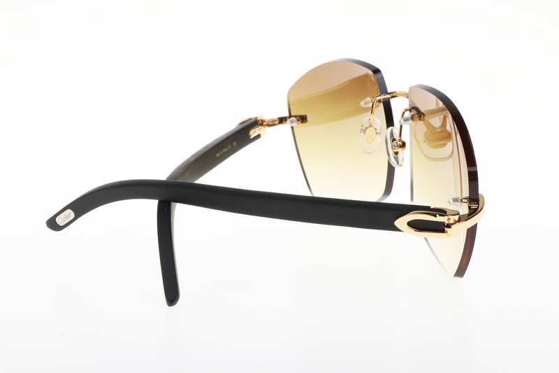 glasses
