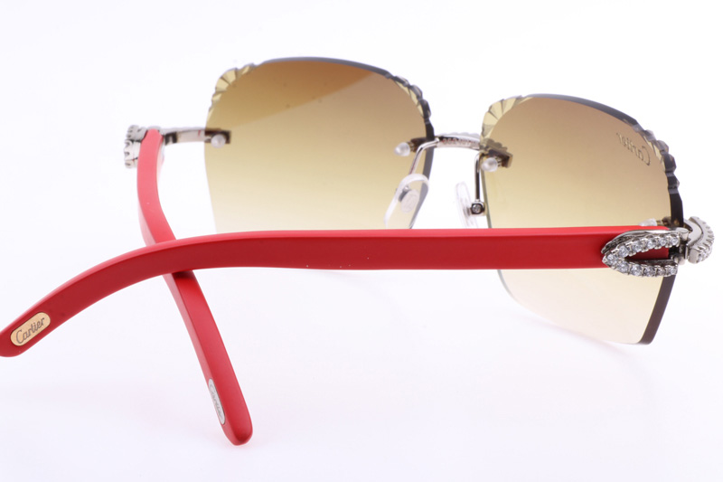 glasses