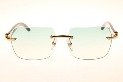 8300818 Black Buffalo