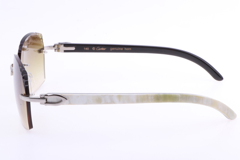 glasses