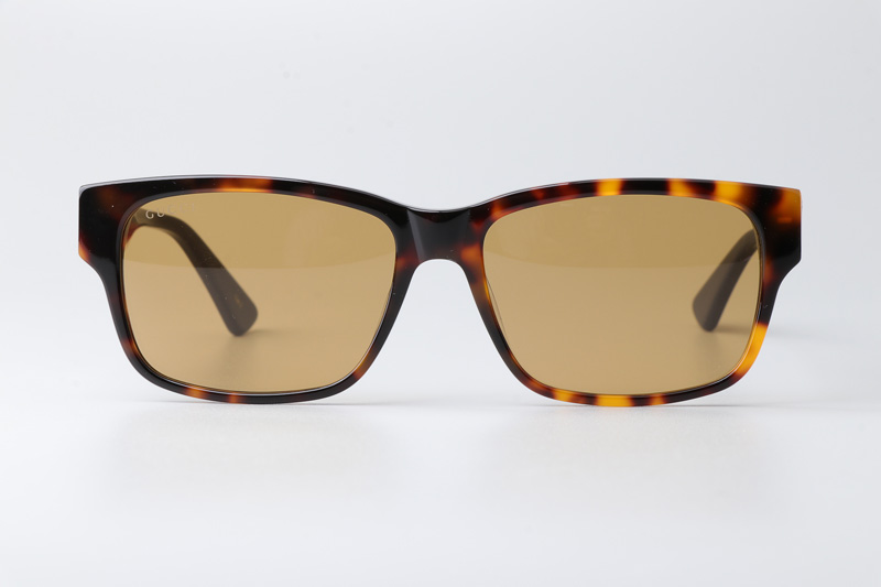 glasses