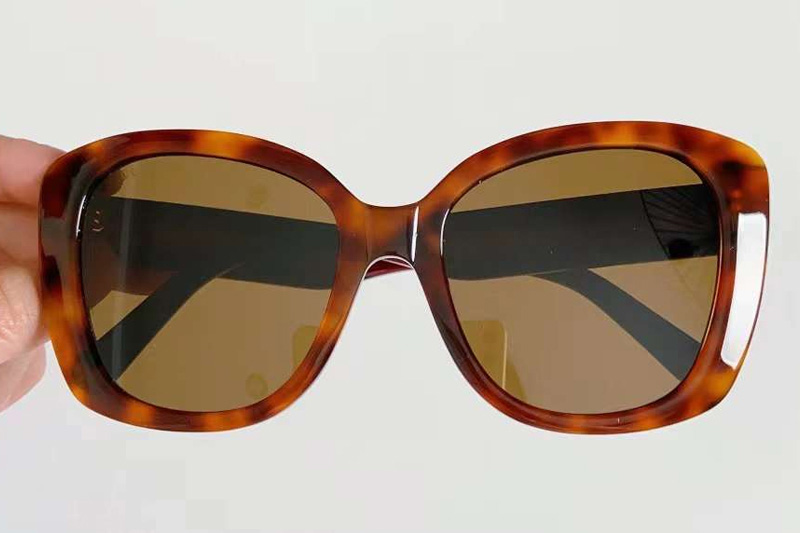 glasses