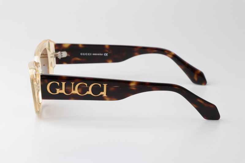 glasses