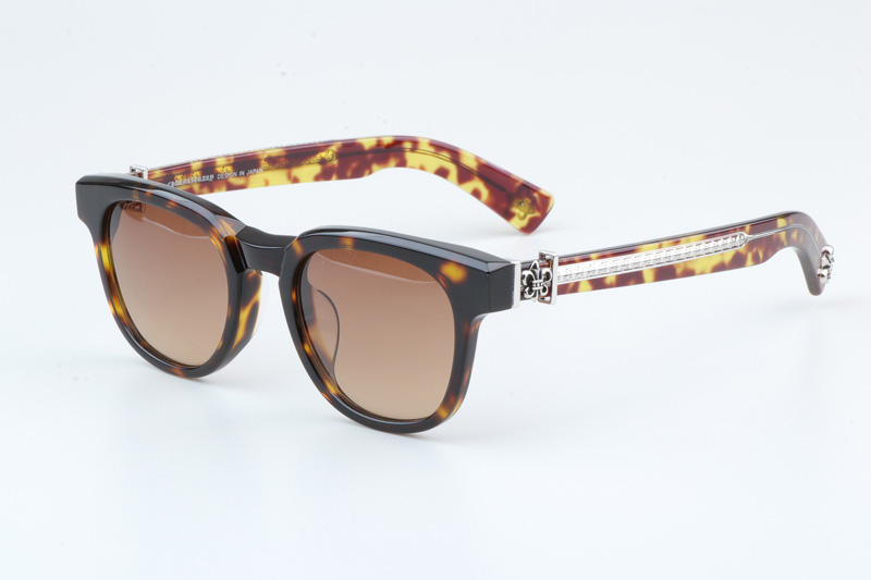 Penetranusrex Sunglasses Tortoise Gradient Brown