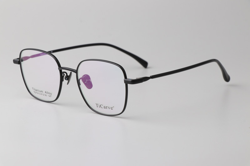 TC7313 Eyeglasses Black