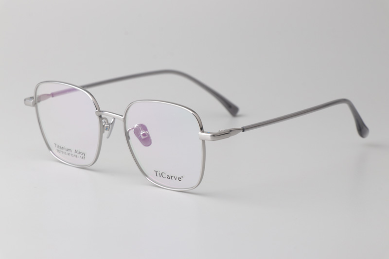TC7313 Eyeglasses Silver