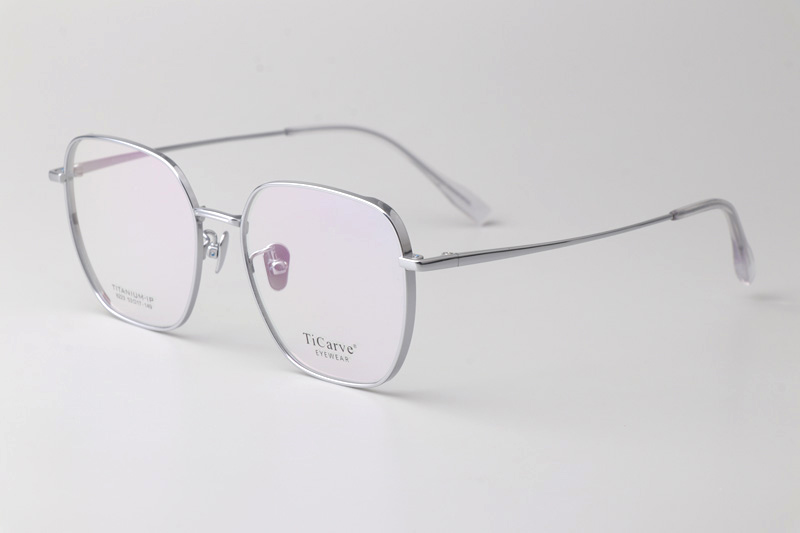 TC8223 Eyeglasses Silver
