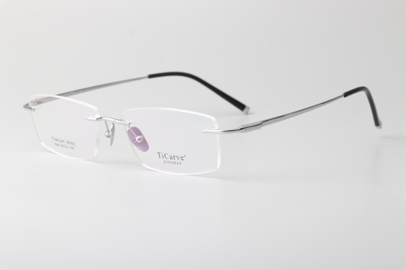 TC8229 Eyeglasses Silver
