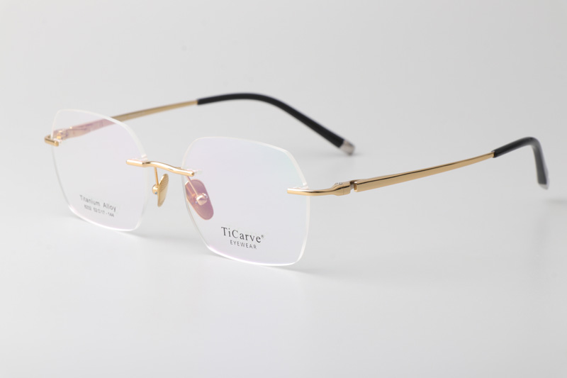 TC8232 Eyeglasses Gold