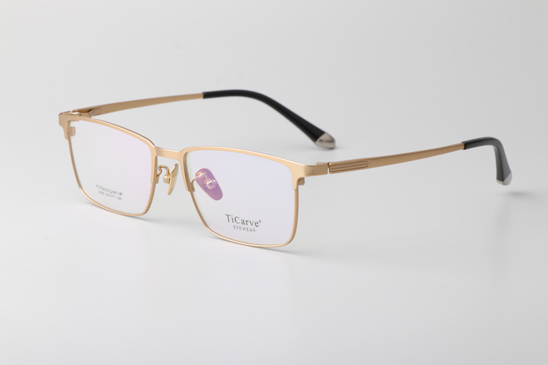 TC8255 Eyeglasses Gold