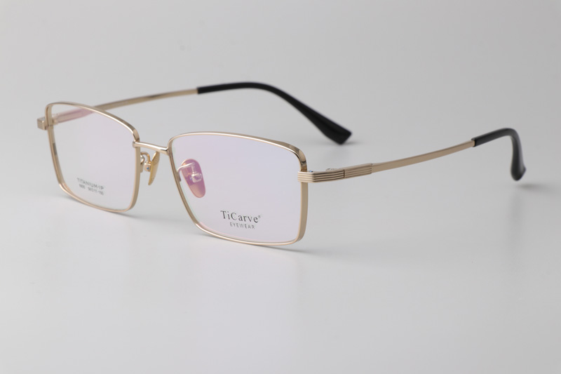 TC8805 Eyeglasses Gold