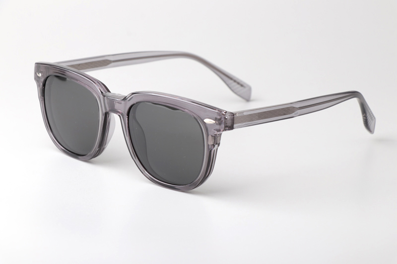 WT34201 Eyeglasses Gray Gray Clips